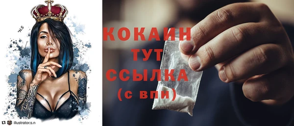 ECSTASY Майский